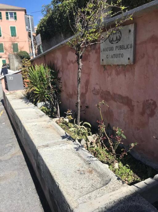 Apartment Pisi Home, 2 Min Dalla E Dall' Ospedale Gaslini