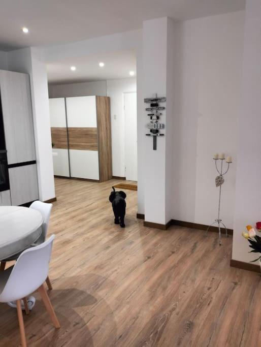 Pisi Home, 2 Min Dalla E Dall' Ospedale Gaslini Apartment
